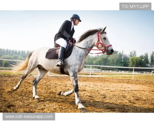 葡萄牙骑手玛丽亚·卡埃塔诺在2024年葡萄牙盛装舞步锦标赛中以“Hit Plus”马匹获得个人赛第四名,展现坚韧精神。 葡萄牙骑手玛丽亚·卡埃塔诺在2024年葡萄牙盛装舞步锦标赛中以“Hit Plus”马匹获得个人赛第四名,展现坚韧精神。